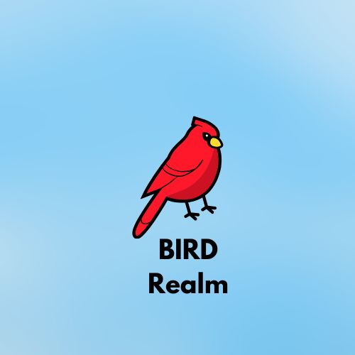 Birdsrealm